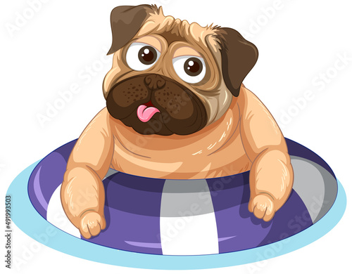 A Happy dog with rubber ring on white background