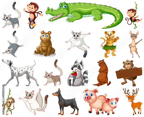 Set of animal cartoon character