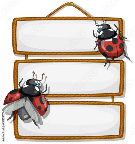 Isolated wooden banner with beetle