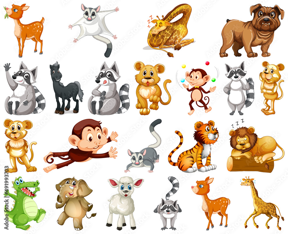 Obraz premium Set of animal cartoon character