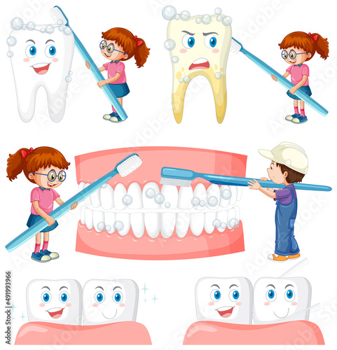 Set of all types of teeth on white background
