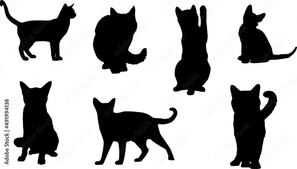 Persian Cat Silhouette Bundle SVG