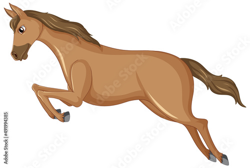 A pretty brown horse on white background