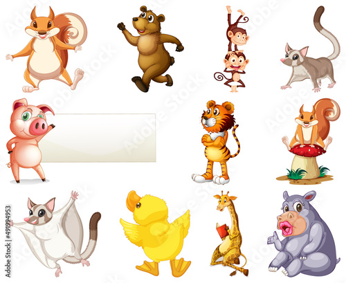 Set of animal cartoon character
