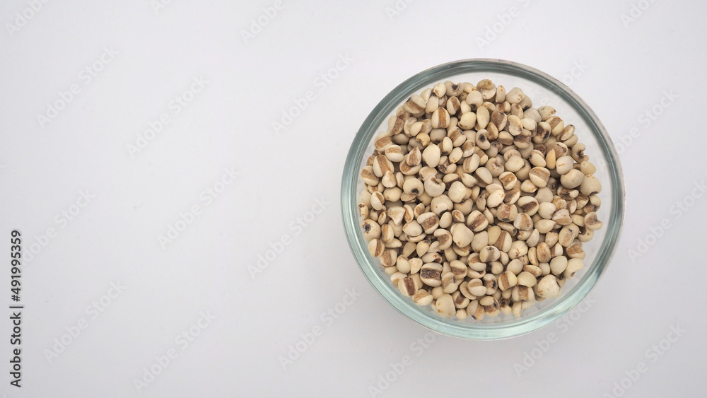 Job's Tears in the bowl, also known as adlay and coix on white background. Popular in Asian cultures as a food source. Job's Tears in the bowl, also known as adlay and coix on white background. Popular in Asian cultures as a food source.