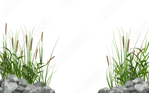 Cane silhouette on white background.Hand drawn reed or pampas grass surrounded by gray stones.