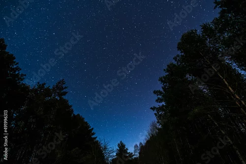 Obraz Niebo nocą
