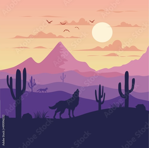 sunset in the desert wild wolf