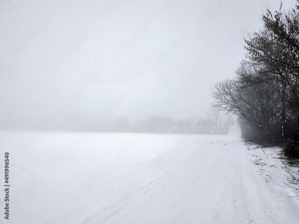 Fototapeta premium snow covered road