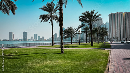 palm trees in the city, city view, city with lagoon  photo