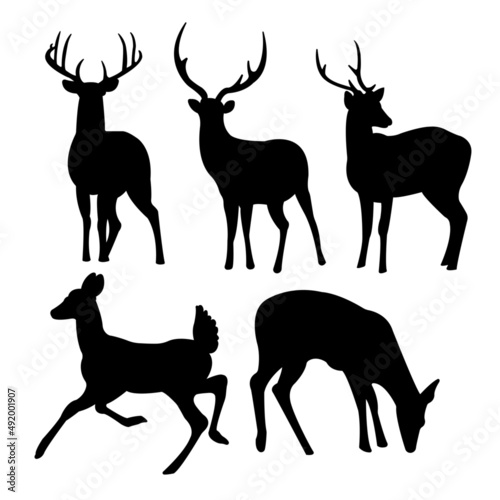 Isolated on a white background, a collection of deer vector silhouettes 