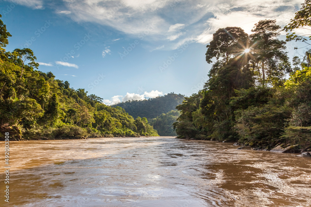 Jungle and River in the Peruvian Amazon
