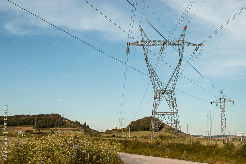 Paisajes de campos de trigo con tendido eléctrico.