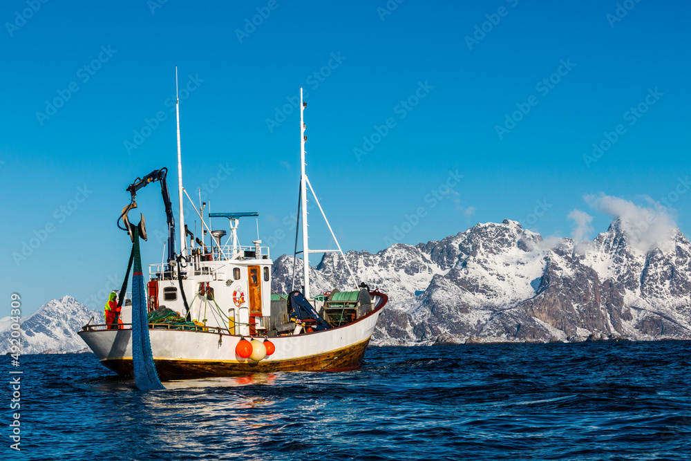 Sezon połowu dorsza na Morzu Norweskim u wybrzeży Lofotów, rybackie kutry łowią ryby sieciami oraz wędkami - obrazy, fototapety, plakaty 