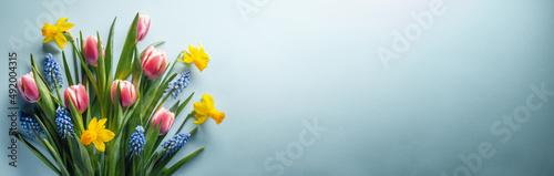 Fotografiet Top view of pink tulips, yellow daffodils and blue hyacinths on blue background