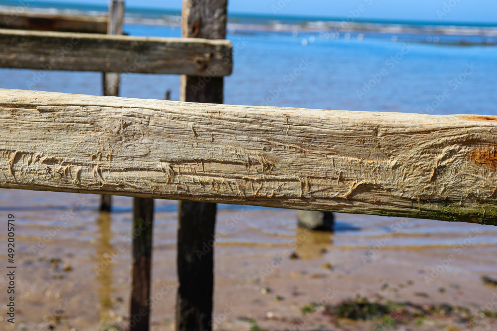 close up of old wooden pier on beach close up of old wooden pier on beach