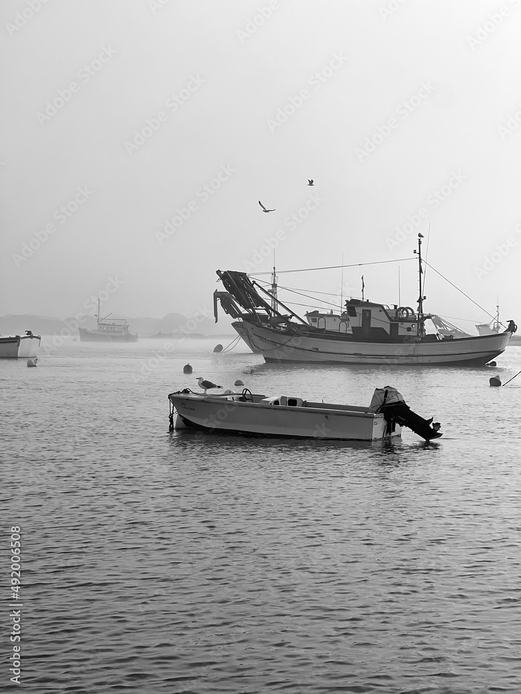boats on the river seen from the shore on a foggy day close-up boats on the river seen from the shore on a foggy day close-up