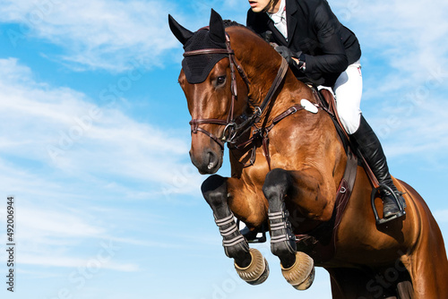 Equestrian Sports photo themed: Horse jumping with blue sky background, Show Jumping, Equestrian Sports, Horse riding, © Pratiwi