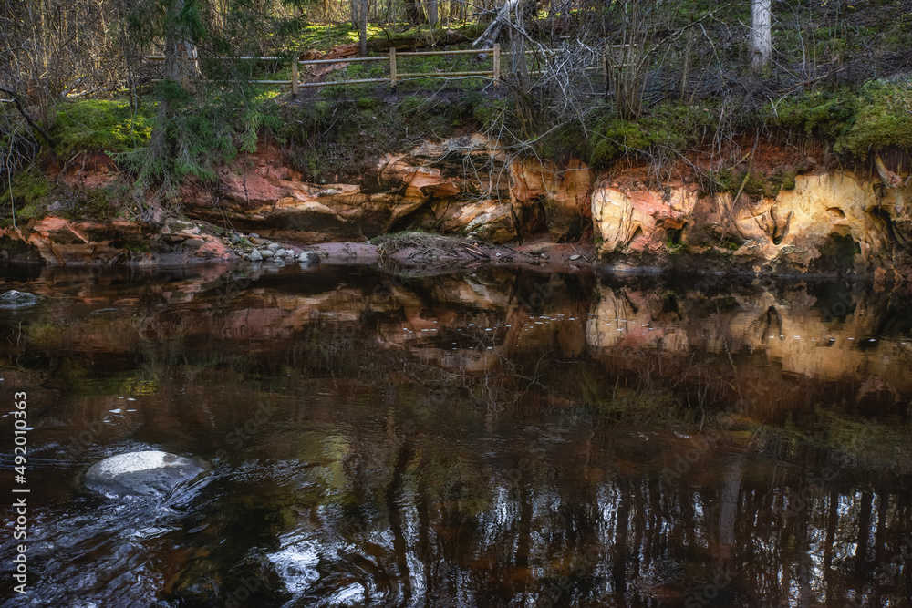 Amata river and forest in spring. (Gauja National Park, Latvia) Latvia. Amata river and forest in spring. (Gauja National Park, Latvia) Latvia.