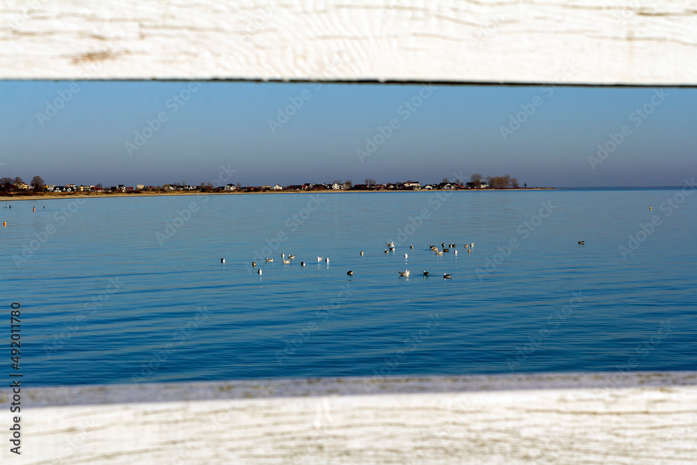 View of the sea and the coast through the boards of the pier