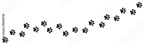 Animal paw background vector