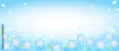 爽やかなネモフィラの花の背景イラスト