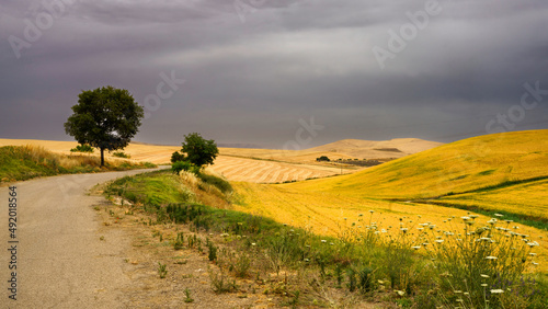 Country landscape in Basilicata  Italy  at summer