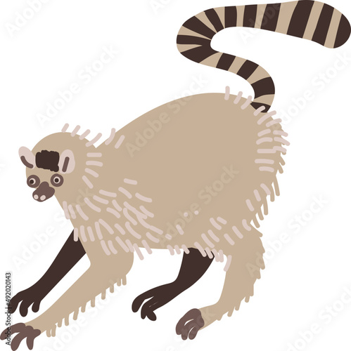 Ring-tailed Lemur Strepsirrhine Primate as Wild African Animal Living in Savannah