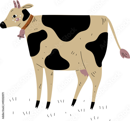 Cow Hoofed Mammal with Horns as Farm Animal and Domestic Livestock Breeding