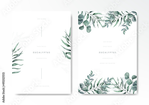 Watercolor green eucalyptus background template vector design set