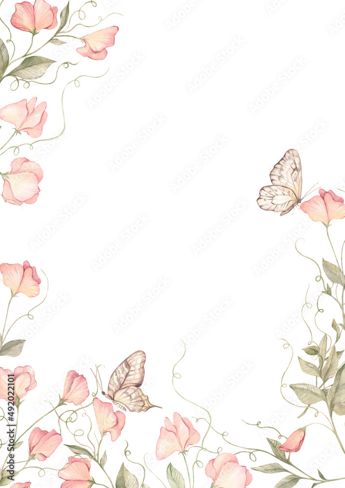 Fototapeta premium watercolor floral frame spring pink flowers, sweet peas and butterfly