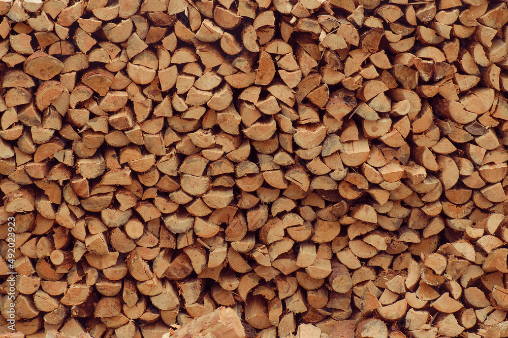 Wood preparation. Firewood. Pine forest. Texture Wood preparation. Firewood. Pine forest. Texture