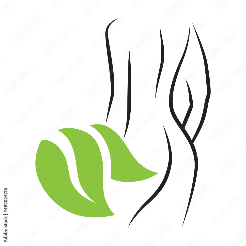 Fototapeta premium woman body with leaves