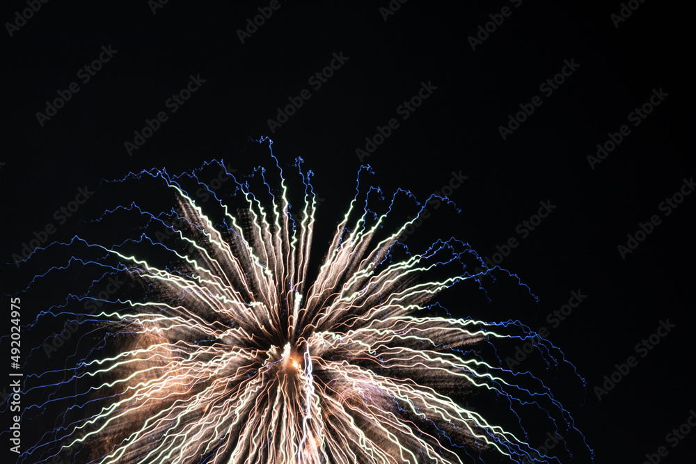 Naklejka premium A Firework in the Night Sky