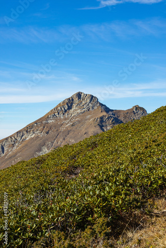 Mountain landscapes with peaks and valleys with plants and blue sky. A sunny day is good for a trip to the mountains and adventures