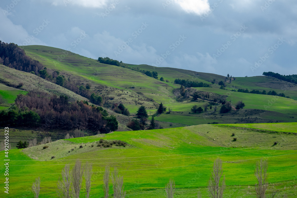 Scenic view of green fields and cloudy sky from Setif, Algeria