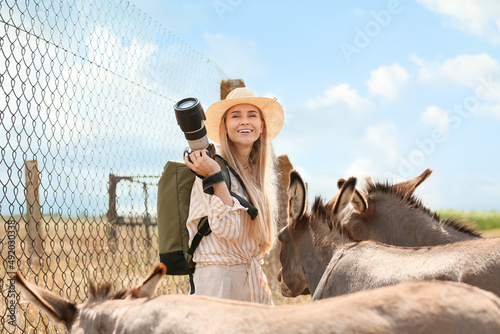 Female tourist with donkeys...