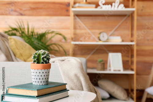 Cactus with books on table in modern living room, closeup