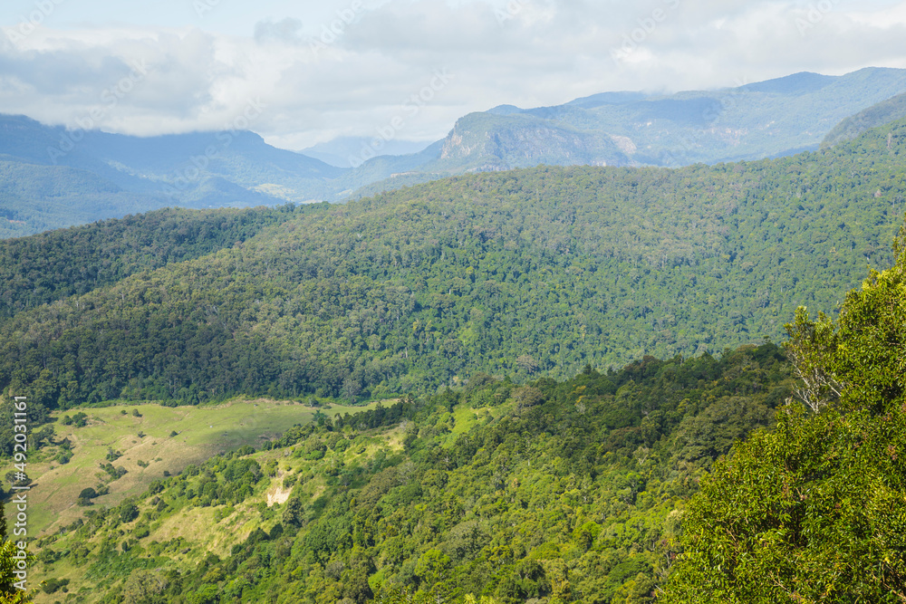 Blick über die schöne Natur Australiens mit Bergkette im Hintergrund