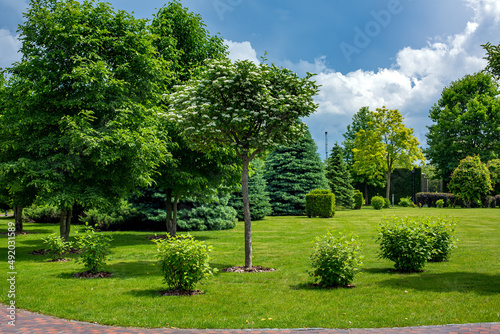 a green lawn of turf grass with shrubs and trees with mulch in a park with a sidewalk for walking along stone tile path on a manicured landscape of sunny summer day with clouds on sky, nobody.
