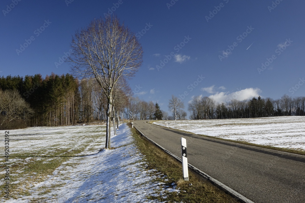 Tarmac road, meadows, tress and reflector poles in Westerwald landscape, sunny winter day, concept: winter, driving, outdoor, melting, guidance (horizontal), Weissenberg, RLP, Germany