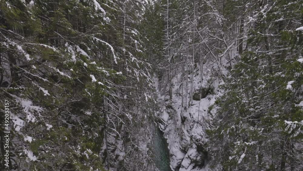 River in Canadian Nature, Trees in Forest, Winter Snow, Sunny Sky. Taken in Lynn Valley Canyon, North Vancouver, British Columbia, Canada. River in Canadian Nature, Trees in Forest, Winter Snow, Sunny Sky. Taken in Lynn Valley Canyon, North Vancouver, British Columbia, Canada.
