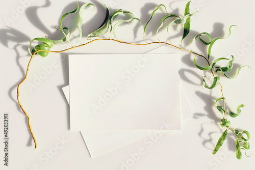 Mockup of white sheets of paper with hard shadows from the sun on a summer day, curly willow branch. Stationery. Flat lay