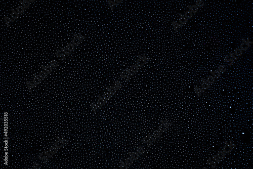 Wallpaper Mural Photos Drops of water,Drop, Water, Raindrop, Spray, Rain,Drops of water  Torontodigital.ca