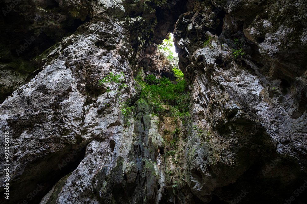 View from inside deer cave in gunung mulu national park View from inside deer cave in gunung mulu national park