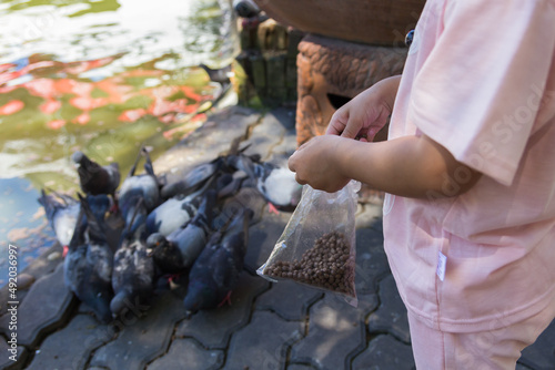 Young girl give feeding to pigeons