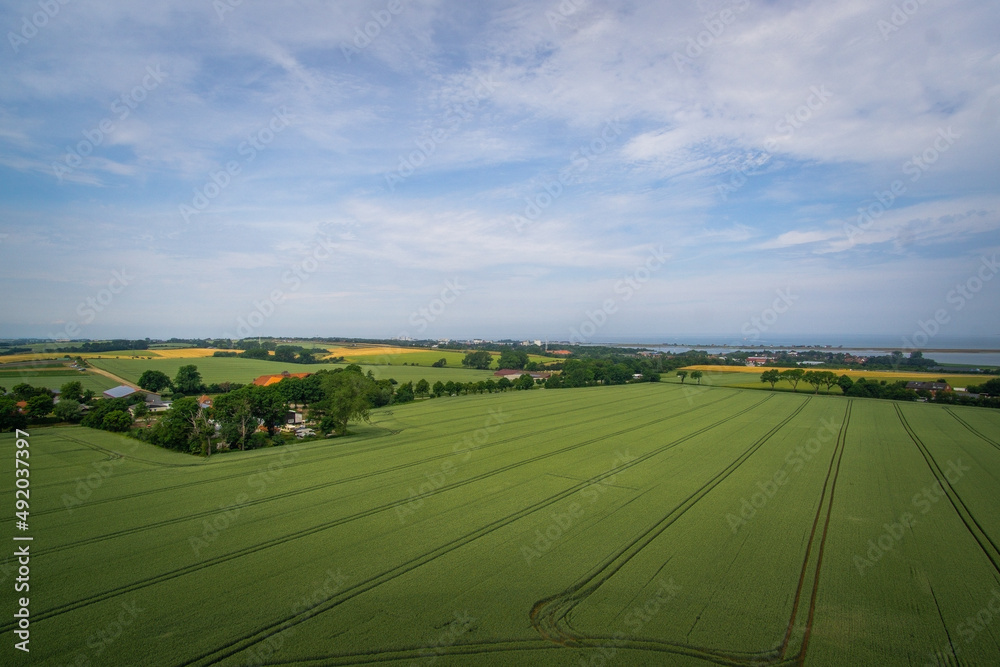 Panoramablick über weite Felder 