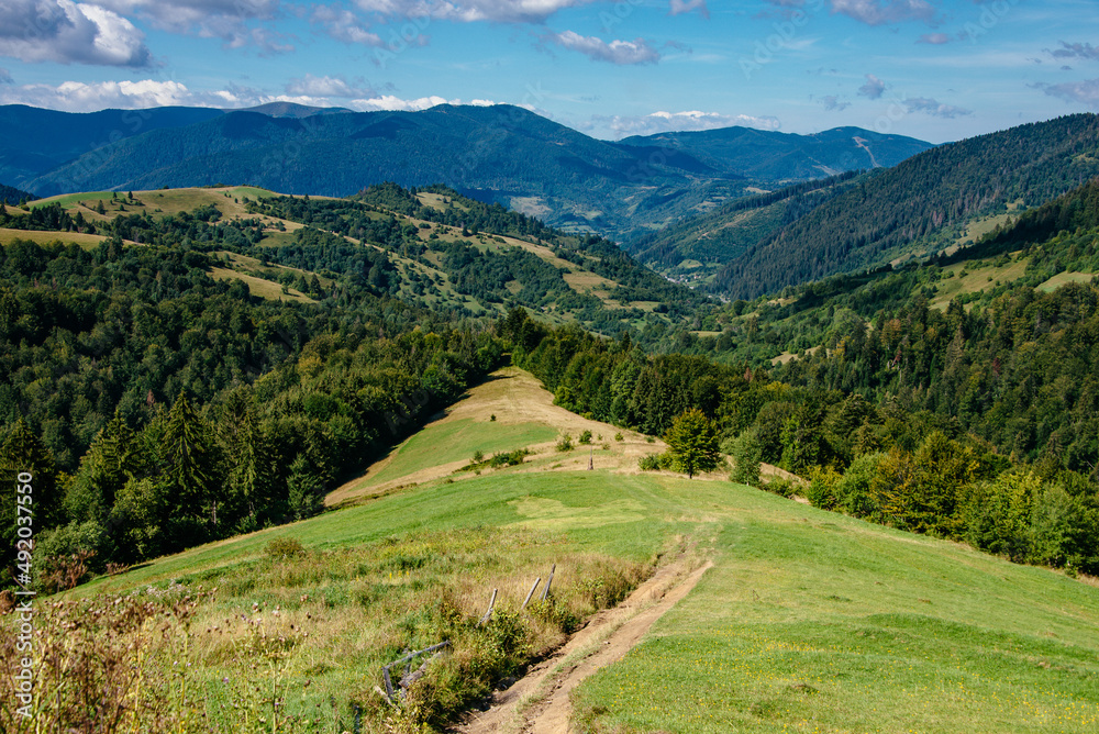 Fototapeta premium Scenic landscape of the countryside near alpine mountains. View of green hills covered by trees. Summer natural background.