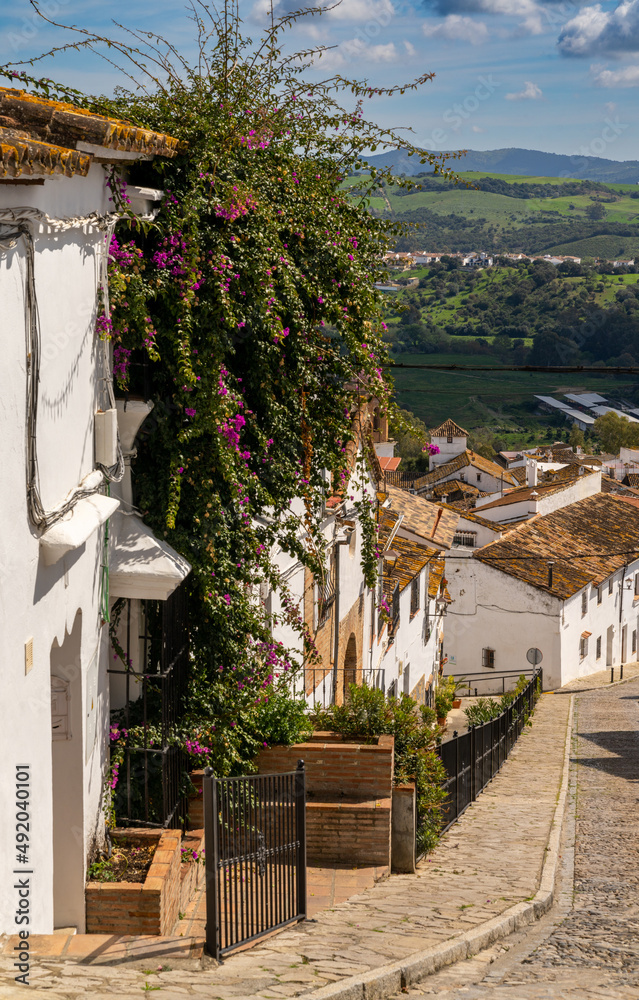 Φωτογραφία narrow hilly street in the idyllic whitewashed Andalusian village of Jimena de l