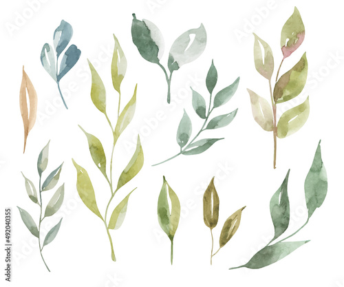 Watercolor green, mint, lilac wild leaves set. Vector. Hand drawn floral illustrations